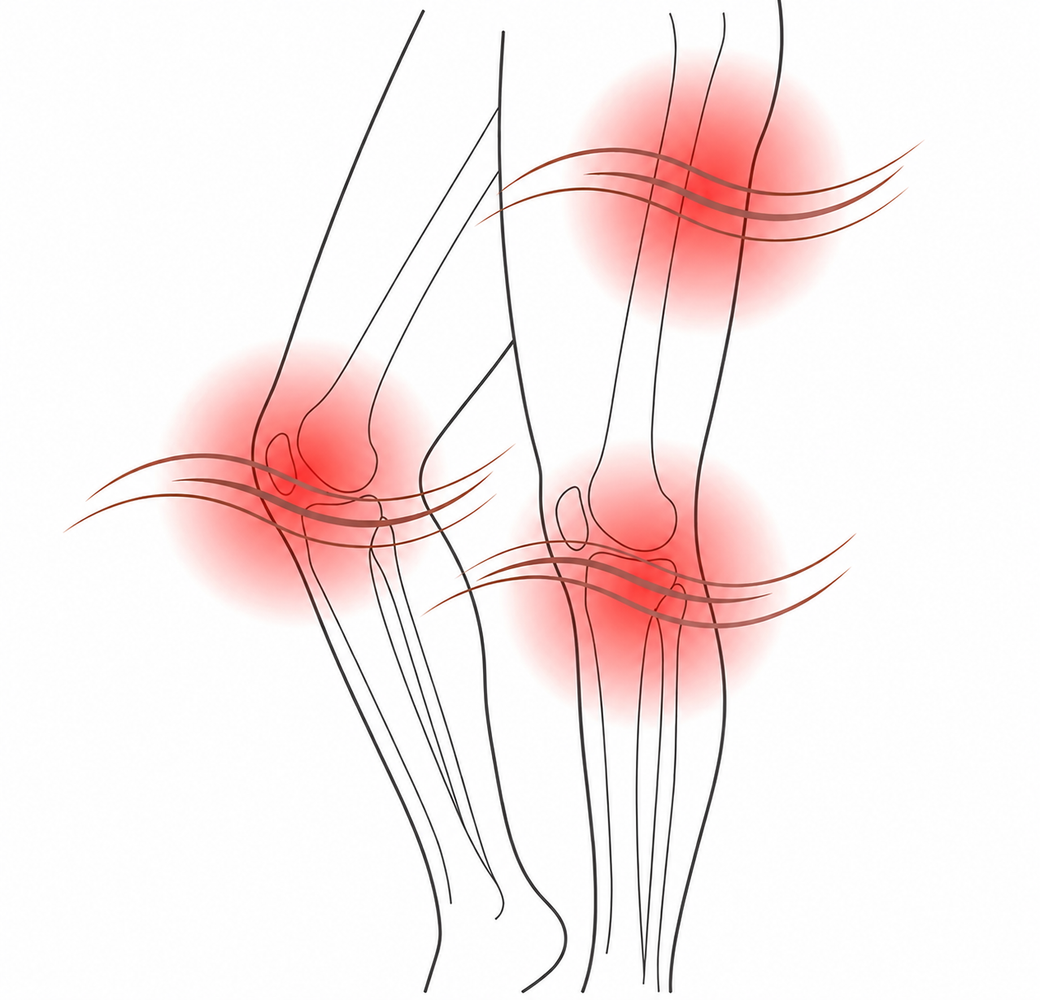 Diagram of the pain zone